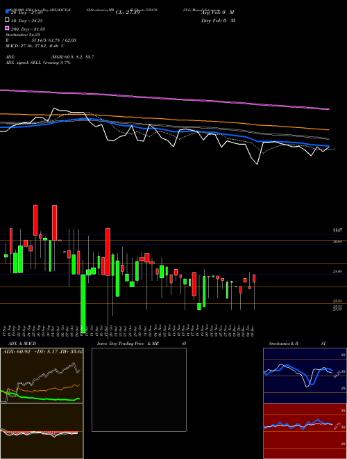 ICL 538838 Support Resistance charts ICL 538838 BSE