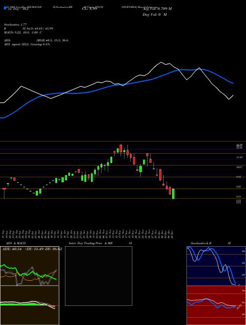 Chart Vegetable (539132)  Technical (Analysis) Reports Vegetable [
