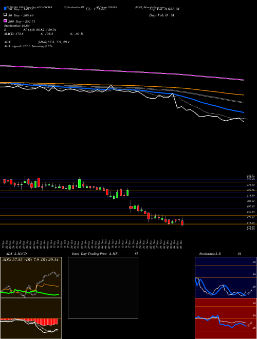 POEL 539195 Support Resistance charts POEL 539195 BSE