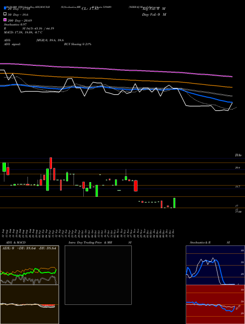 NEERAJ 539409 Support Resistance charts NEERAJ 539409 BSE