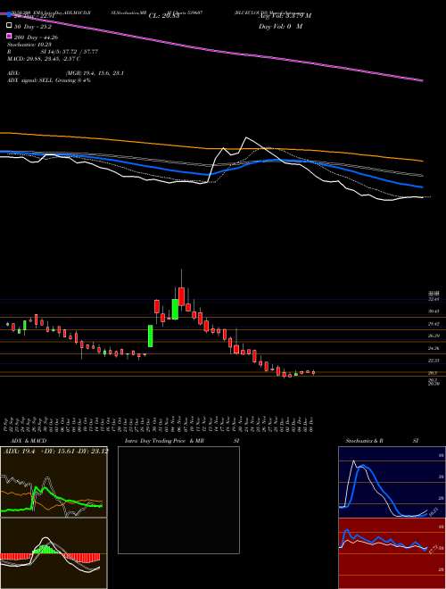 BLUECLOUDS 539607 Support Resistance charts BLUECLOUDS 539607 BSE