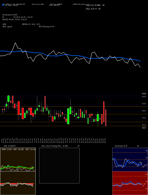 Chart Vidli (539659)  Technical (Analysis) Reports Vidli [
