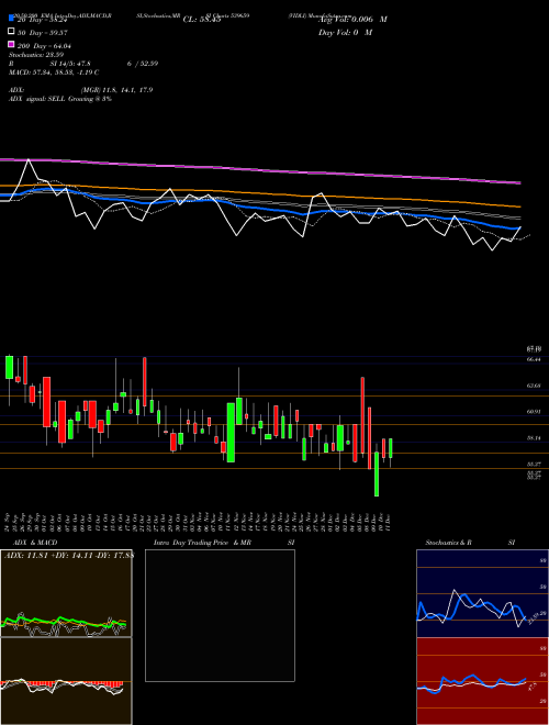 VIDLI 539659 Support Resistance charts VIDLI 539659 BSE