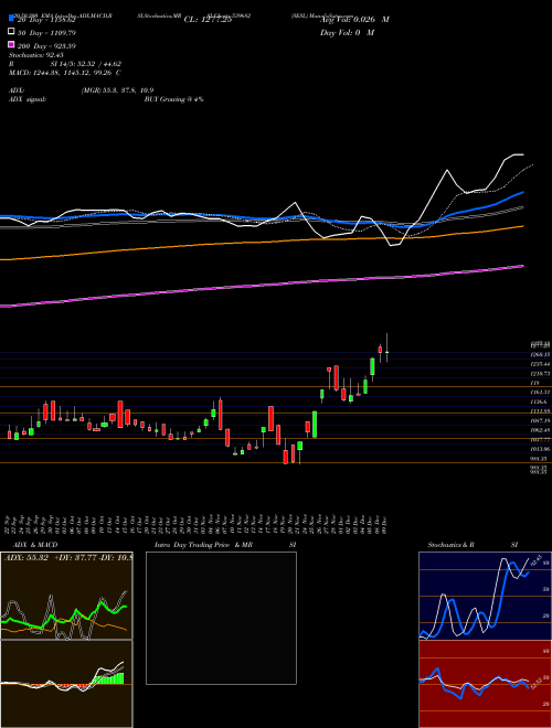 SESL 539682 Support Resistance charts SESL 539682 BSE
