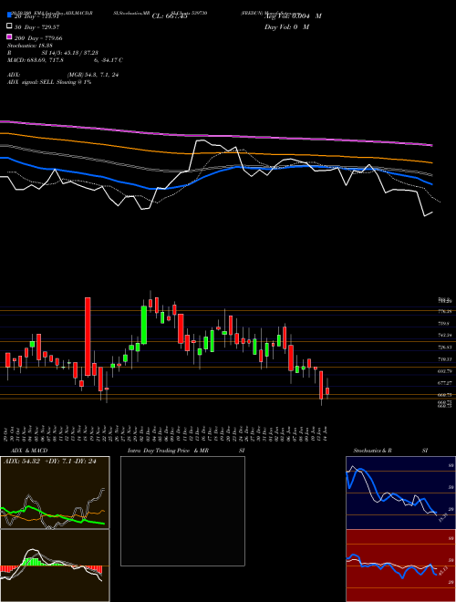 FREDUN 539730 Support Resistance charts FREDUN 539730 BSE