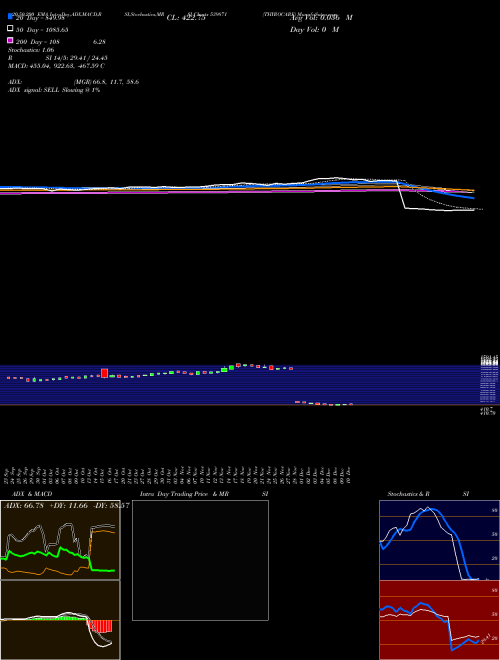 THYROCARE 539871 Support Resistance charts THYROCARE 539871 BSE