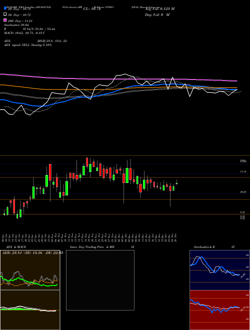ZEAL 539963 Support Resistance charts ZEAL 539963 BSE