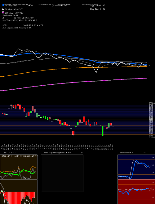 YSL 540980 Support Resistance charts YSL 540980 BSE