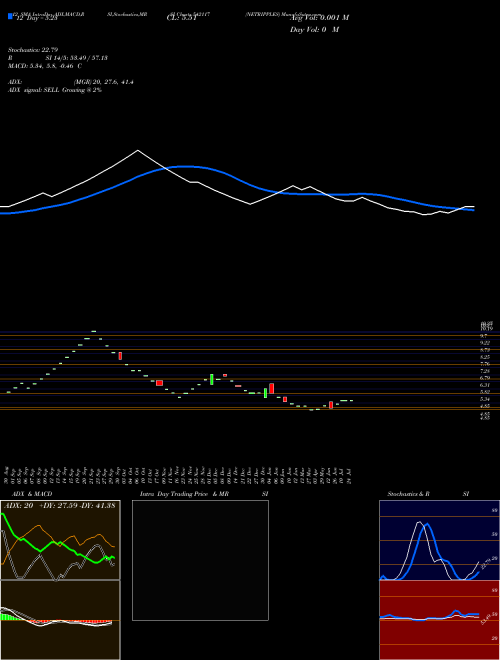 Chart Netripples (542117)  Technical (Analysis) Reports Netripples [