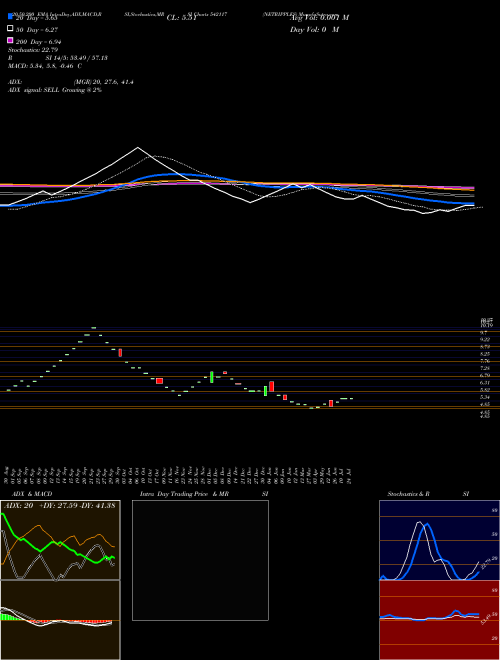 NETRIPPLES 542117 Support Resistance charts NETRIPPLES 542117 BSE