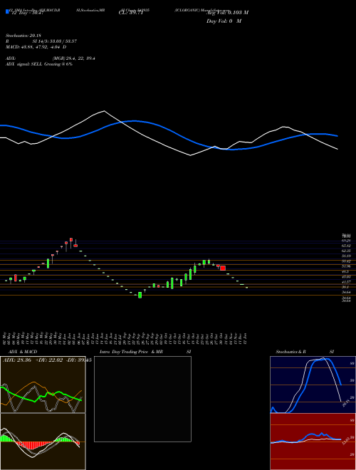 Chart Iclorganic (542935)  Technical (Analysis) Reports Iclorganic [