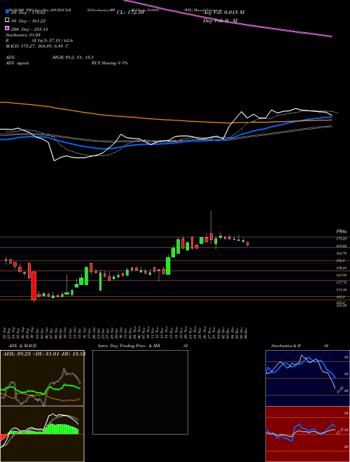 WFL 543449 Support Resistance charts WFL 543449 BSE