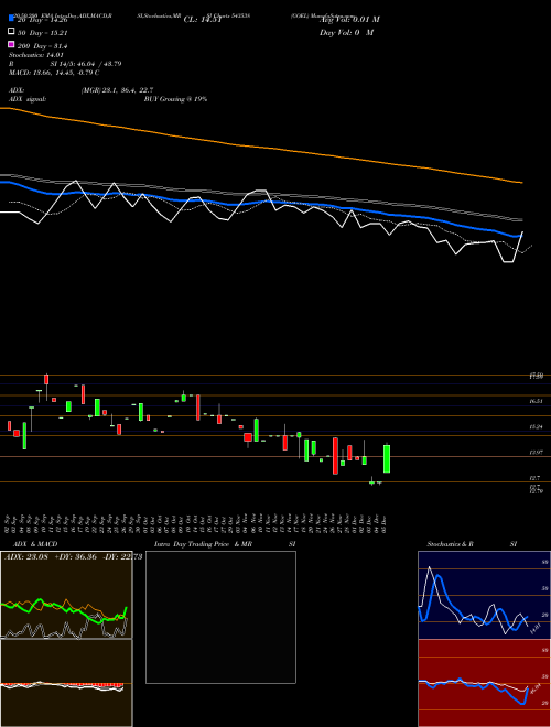 GOEL 543538 Support Resistance charts GOEL 543538 BSE