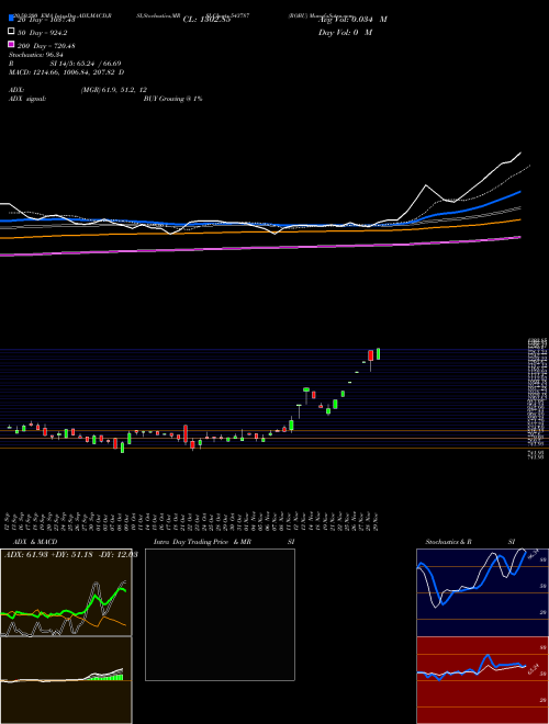 ROBU 543787 Support Resistance charts ROBU 543787 BSE