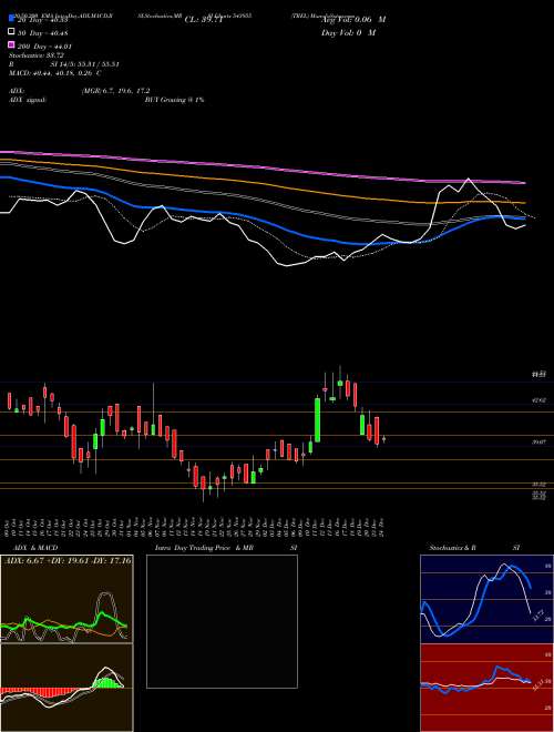 TREL 543955 Support Resistance charts TREL 543955 BSE