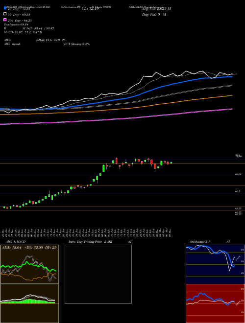 GOLDBEES 590095 Support Resistance charts GOLDBEES 590095 BSE