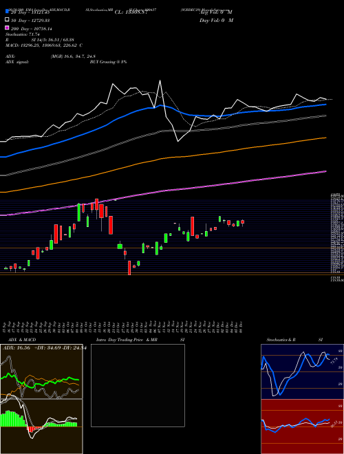 SGBDEC29 800437 Support Resistance charts SGBDEC29 800437 BSE