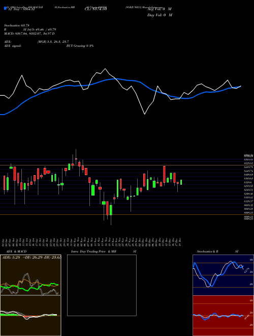 Chart Sgbjune31 (800580)  Technical (Analysis) Reports Sgbjune31 [