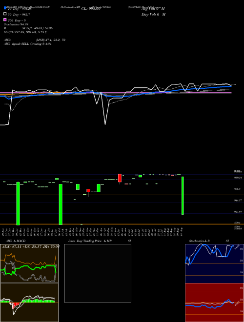 8MMFL23 938045 Support Resistance charts 8MMFL23 938045 BSE