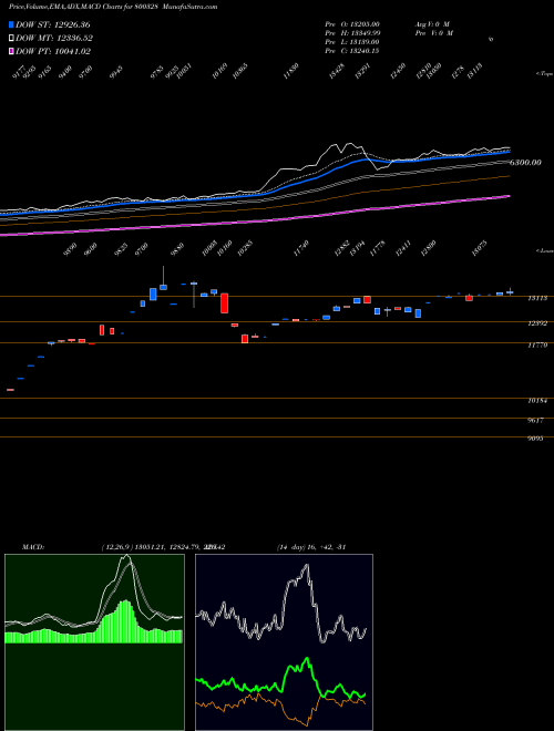 MACD charts various settings share 800328 SGBOCT28 BSE Stock exchange 