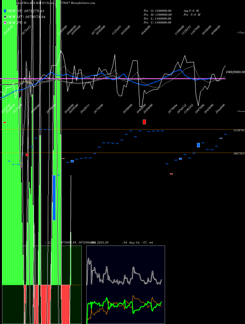 Munafa 955TMFPERP (973027) stock tips, volume analysis, indicator analysis [intraday, positional] for today and tomorrow