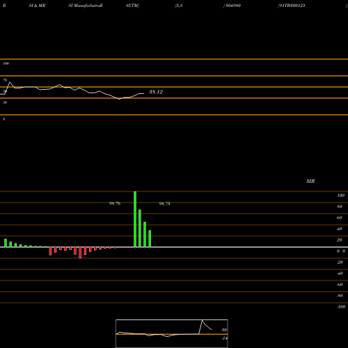 RSI & MRSI charts 91TB300125 804980 share BSE Stock Exchange 