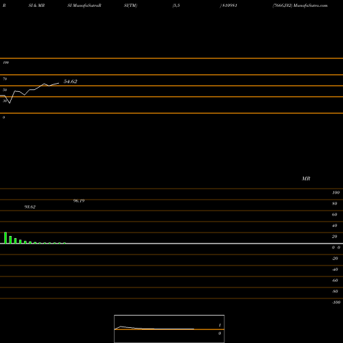 RSI & MRSI charts 766GJ32 810981 share BSE Stock Exchange 