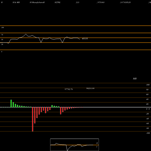 RSI & MRSI charts 1171LFL25 975165 share BSE Stock Exchange 