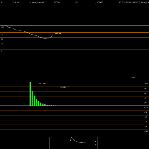 RSI & MRSI charts HLFL-9.25%-3-10-30-PVT 976457 share BSE Stock Exchange 