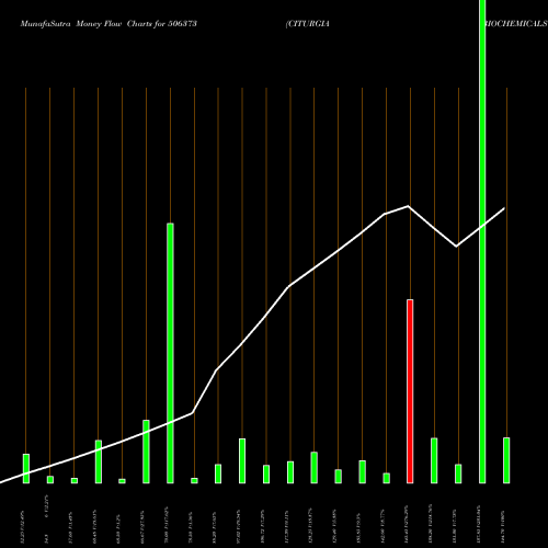 Money Flow charts share 506373 CITURGIA BIOCHEMICALS LTD. BSE Stock exchange 
