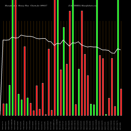 Money Flow charts share 509557 GARFIBRES BSE Stock exchange 