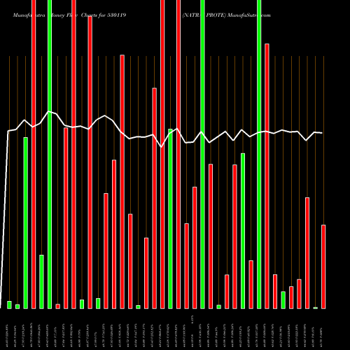 Money Flow charts share 530119 NATRAJ PROTE BSE Stock exchange 