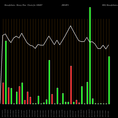 Money Flow charts share 530207 BRAWN BIO BSE Stock exchange 