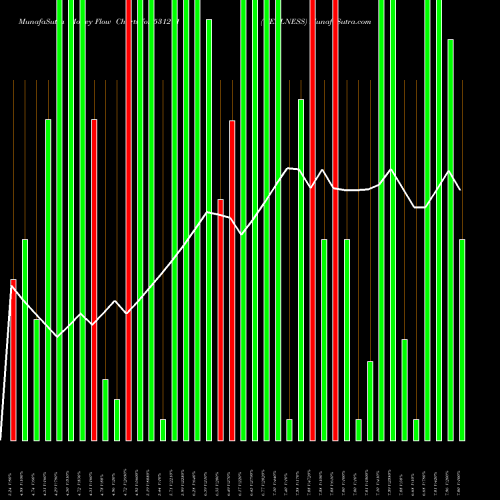 Money Flow charts share 531211 WELLNESS BSE Stock exchange 