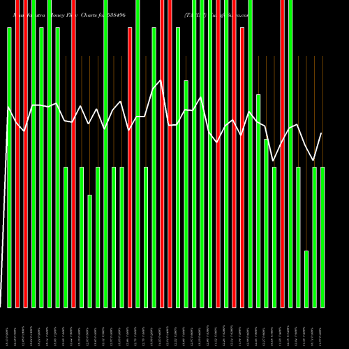 Money Flow charts share 538496 TARINI BSE Stock exchange 