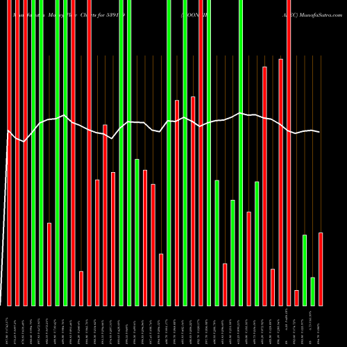 Money Flow charts share 539199 MOONGIPASEC BSE Stock exchange 