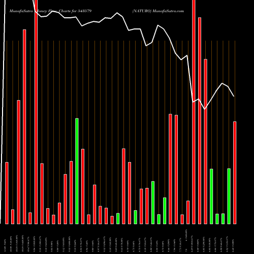 Money Flow charts share 543579 NATURO BSE Stock exchange 