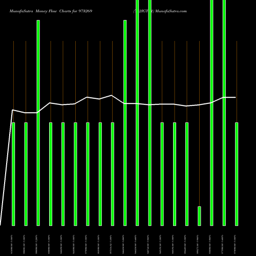 Money Flow charts share 973269 732IGT31 BSE Stock exchange 