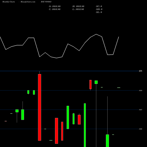 Monthly charts share 938063 975NFL24 BSE Stock exchange 