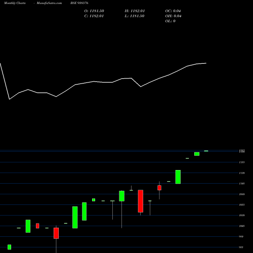 Monthly charts share 938576 MFL020523A BSE Stock exchange 