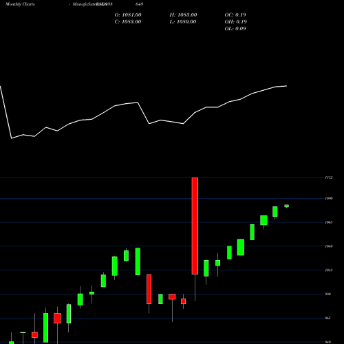 Monthly charts share 938648 895EFS25 BSE Stock exchange 