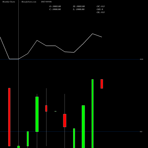 Monthly charts share 938936 1050CCIL25 BSE Stock exchange 