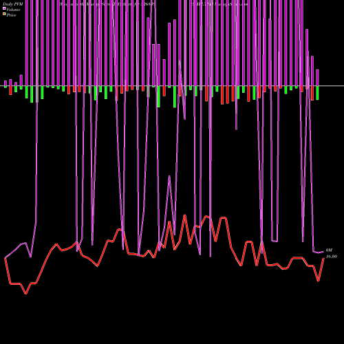 PVM Price Volume Measure charts SHELTER 526839 share BSE Stock Exchange 