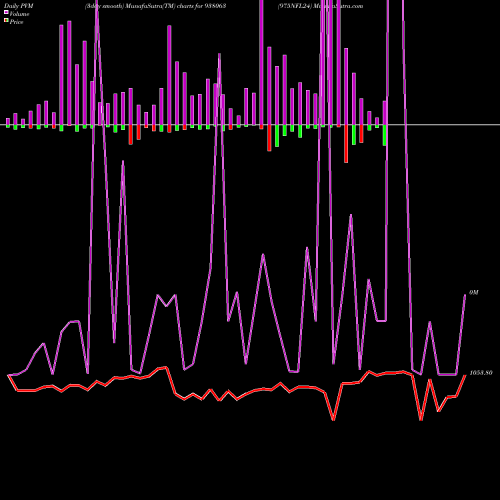 PVM Price Volume Measure charts 975NFL24 938063 share BSE Stock Exchange 