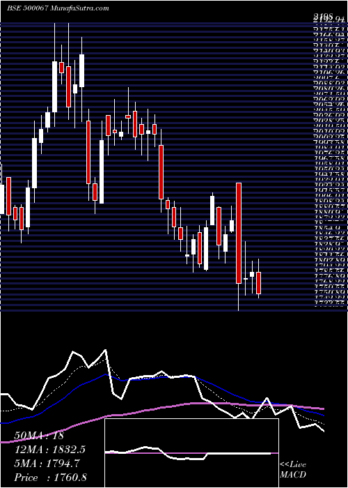  Daily chart BlueStar