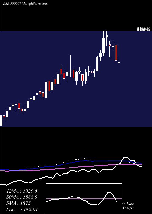  weekly chart BlueStar