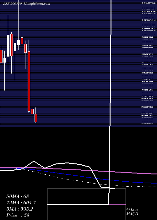  monthly chart ChennaiPet