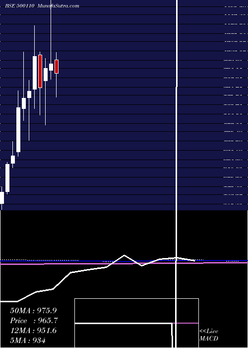  monthly chart ChennaiPet