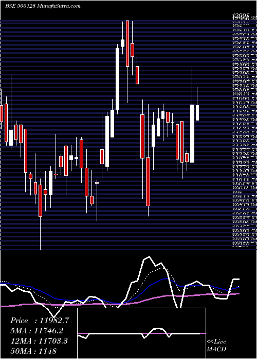  Daily chart Elantas