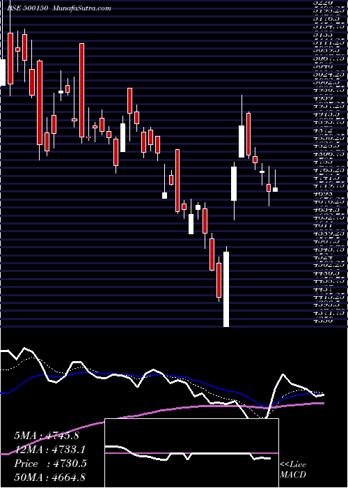  Daily chart FosecoIndia